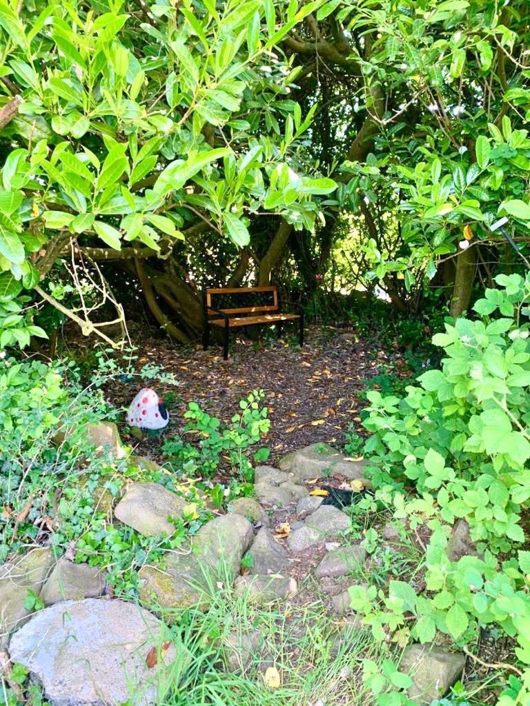 Quiet Farm Cottage Enniskillen Fermanagh Εξωτερικό φωτογραφία